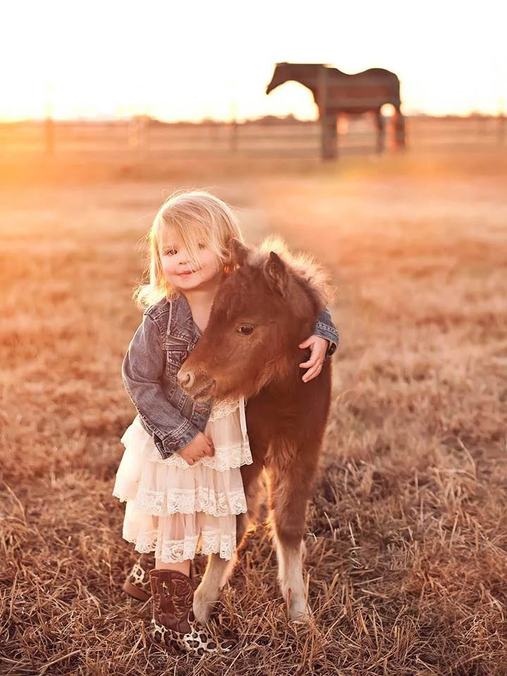 Such a cute foal.... such an adorable little girl